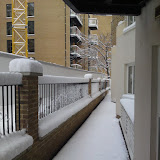 DSC00310.JPG