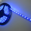Blue-Color-Flexible-LED-Strip-60-SMD-5050-leds-per-meter-waterproof-IP66--.jpg