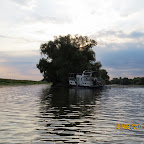IMG_8251.JPG