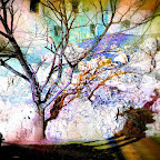 Kraków 07. 03. 2011 r  -   Wawel 116-6.jpg