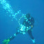 Lisa shoots - She was our groups underwater videographer...Hi Lisa, wherever you are now.