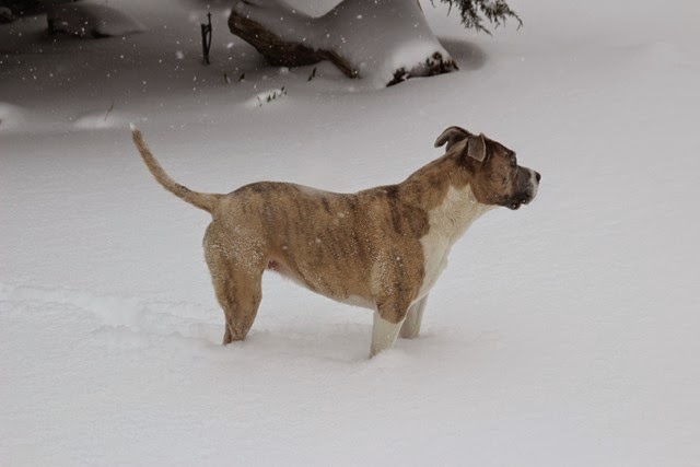 [IMG_4638%255B3%255D.jpg]