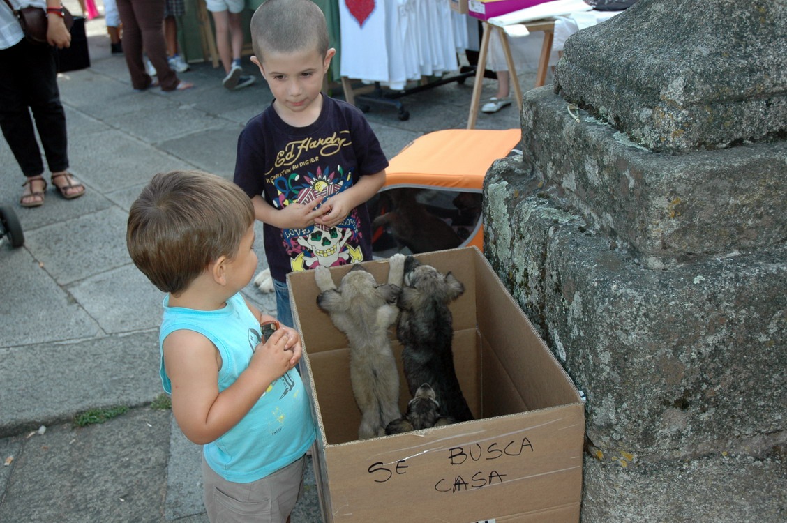 [almoeda_2011_06%255B6%255D.jpg]