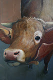 Koe, landgoed Zelle, 100 x 120 cm - olieverf op paneel