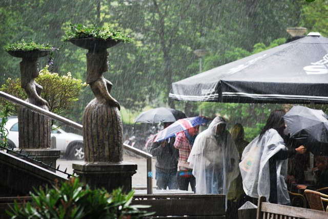 [Rain%2520DSC_0638%255B3%255D.jpg]