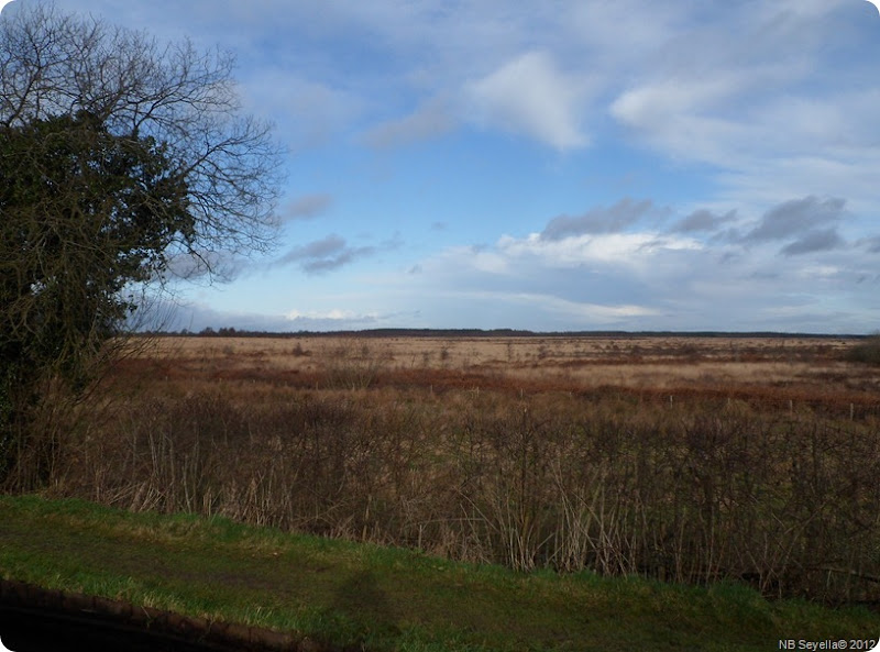 SAM_0002 Whixall Moss