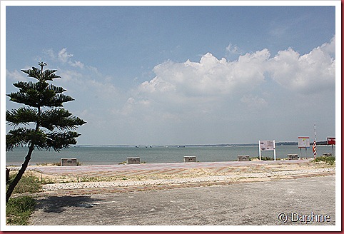 IMG_0463 IMG_0463