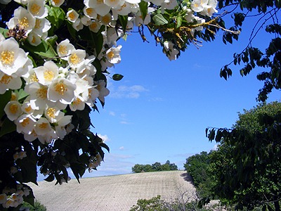 [mei-juni%2520201127%255B3%255D.jpg]