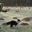 DSC09349.JPG