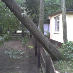 2012-08-06 16.52.02.jpg