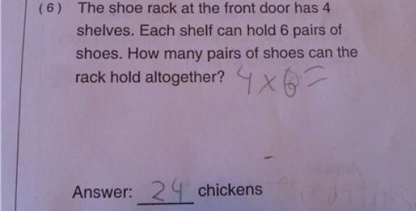 24 Chickens