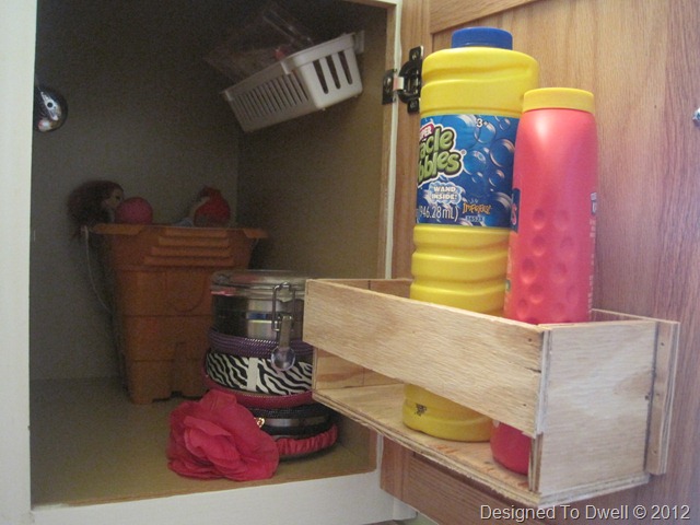 Under Sink Organization IMG_5639