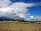 DSCN6931.JPG