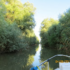 IMG_6160.JPG