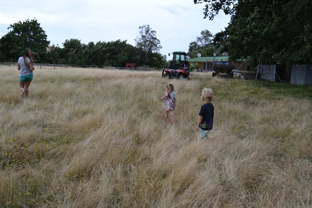 [DSC_1277%255B5%255D.jpg]