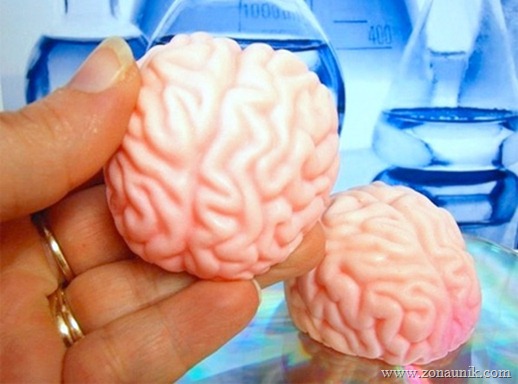 Sabun model Otak
