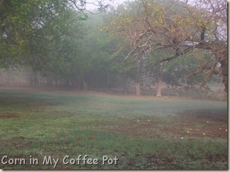 Oct 24 2011- fog pix 128 Oct 24 2011- fog pix 128
