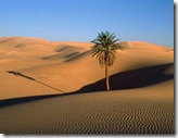 deserto deserto