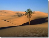 deserto