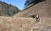 Mount_semeru_44.JPG