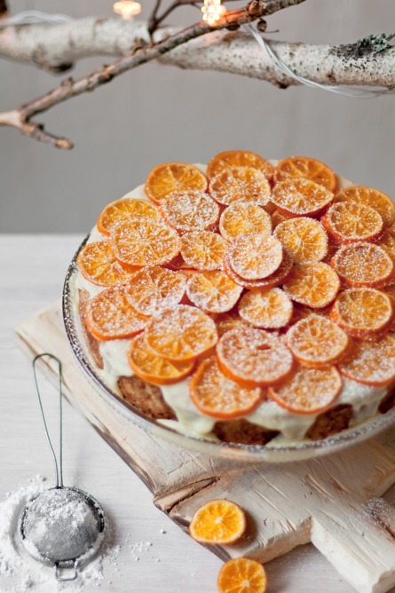 Citrus2 Citrus2