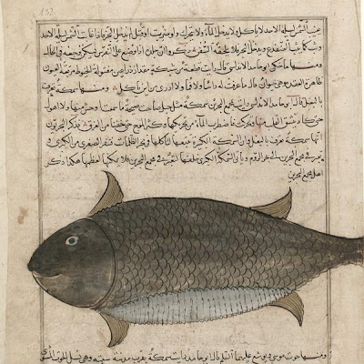 Folio from a Aja'ib al-makhluqat (Wonders of Creation) by al-Qazvini | Origin: Possibly Baghdad, Iraq or Eastern Turkey | Period: early 15th century | Details: Not Available | Type: Opaque watercolor, ink, gold and silver on paper | Size: H: 32.7 W: 22.4 cm | Museum Code: F1954.66 | Photograph and description taken from Freer and the Sackler (Smithsonian) Museums. 0ffeec4e9a4d49408fdfd8c671d96290.jpg
