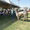 superleite2011_dia1507_110.JPG