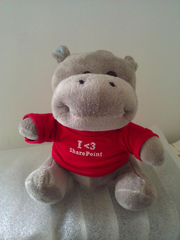 [Lui_HIPPO_SP2010%255B2%255D.jpg]