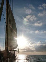 [Skippertraining%25202005%255B11%255D.jpg]