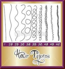 HAir types & texture images
