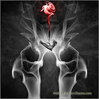 #45 - Guns and roses<br />
From Smoke works collection<br />
www.Mehmet-Ozgur.com