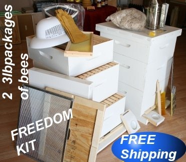 [FREEDOM%255B2%255D.jpg]