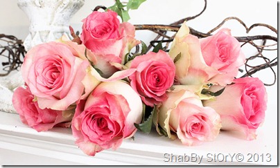 ivy roses-019aweb