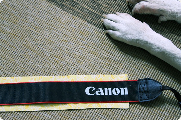 fabric jellyroll camera strap easy diy