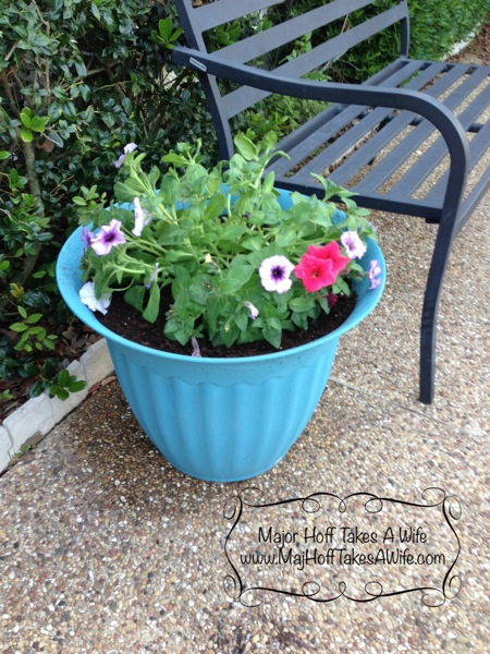 planter1.jpg Planter after pretty flowers bench