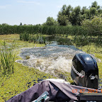 DSCN9652.JPG