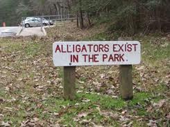 [alligators2.jpg]
