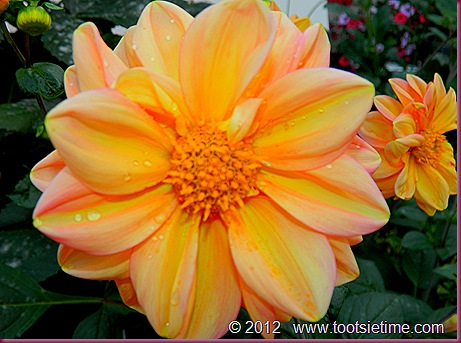 DSCN5478 DSCN5478