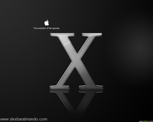 wallpapers mac apple papeis de parede desbaratinando  (63)