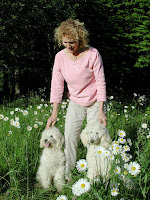 GorgeousDoodles<br />
labradoodle<br />
Breeder