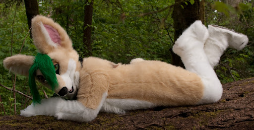 fur suit