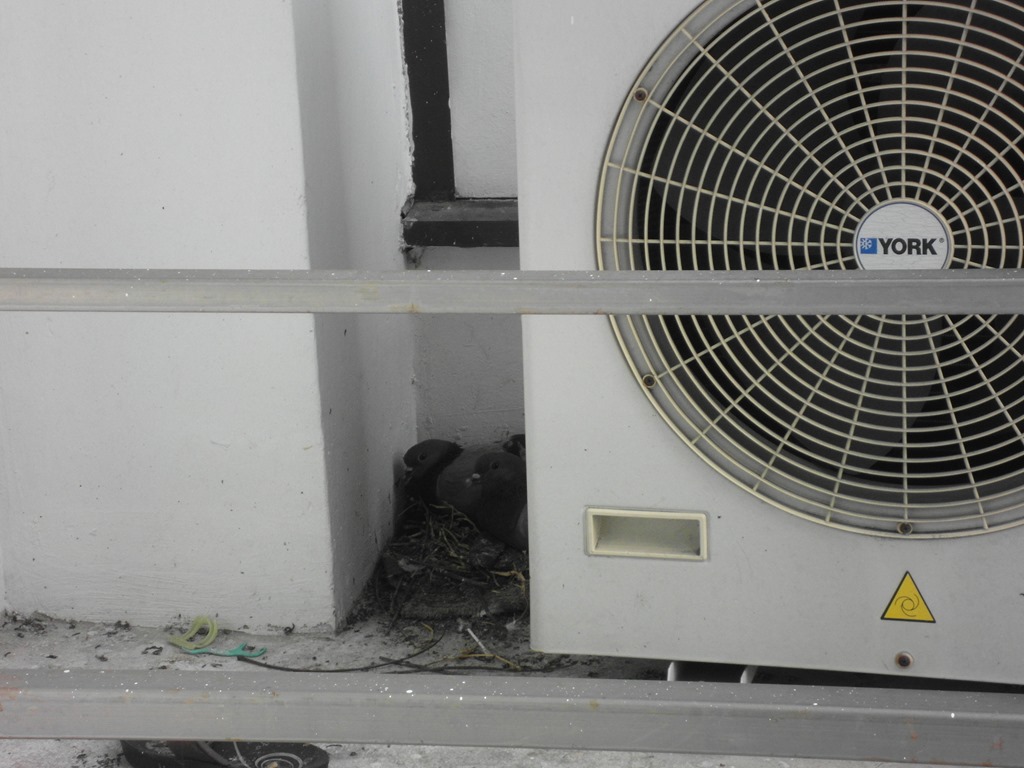 [SAM_3600%255B6%255D.jpg]