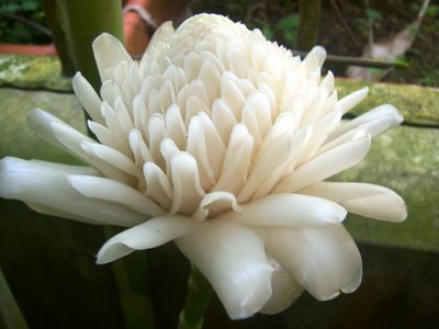 [image%255B91%255D.png]