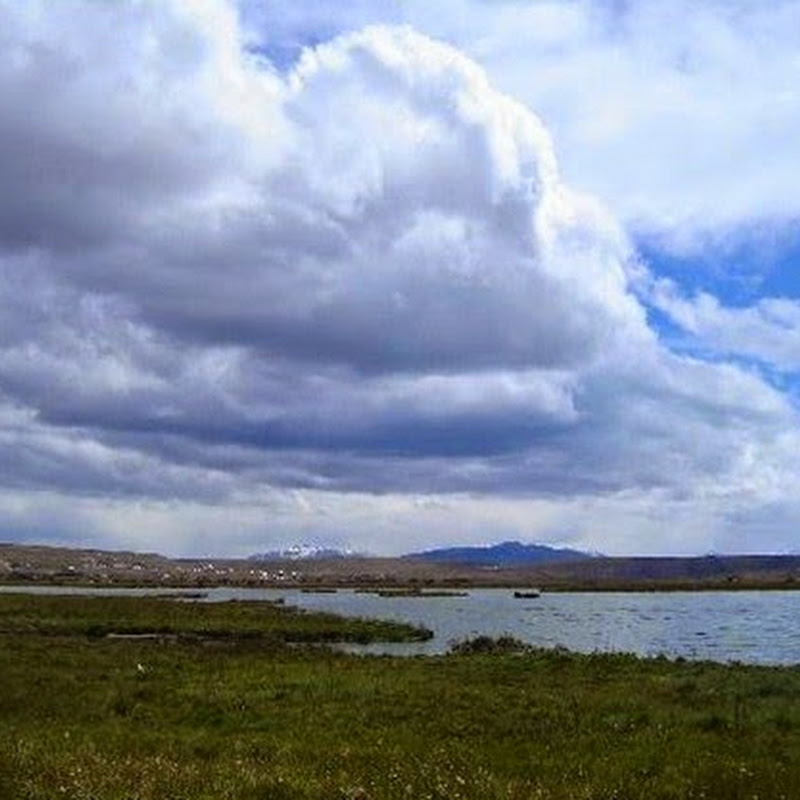 Los lagos patagónicos ofrecen una gran variedad de especies de peces para los fanáticos de la pesca deportiva.