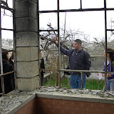 DSCN4955.JPG