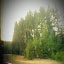 IMAG0537.jpg