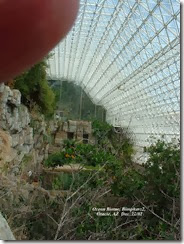 Biosphere2-33[1]