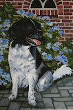 Tosca - 24 x 30 cm - olieverf op paneel (opdracht)