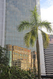IMG_7847.jpg