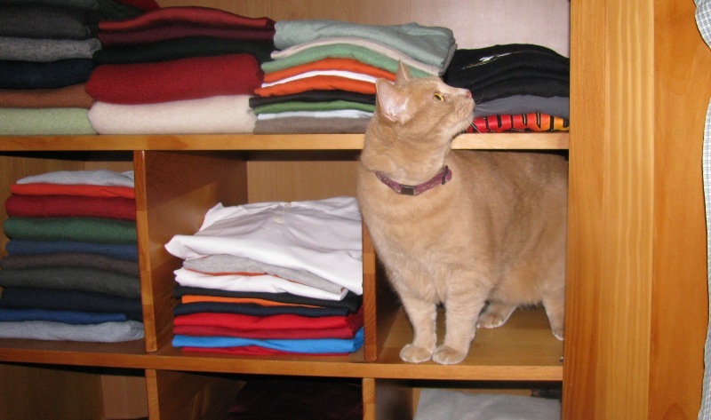 [armoir%2520ted%2520II%255B3%255D.jpg]